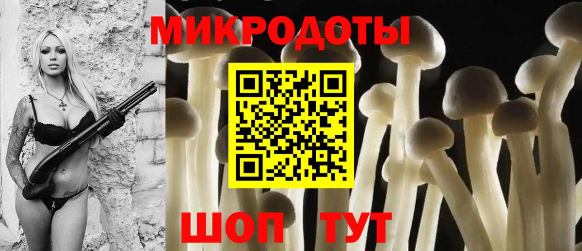 Галлюциногенные грибы Psilocybine cubensis  Вход с VPN  Калининград 